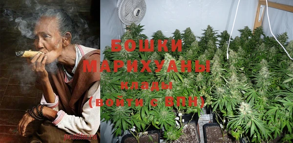 PSILOCYBIN Чекалин