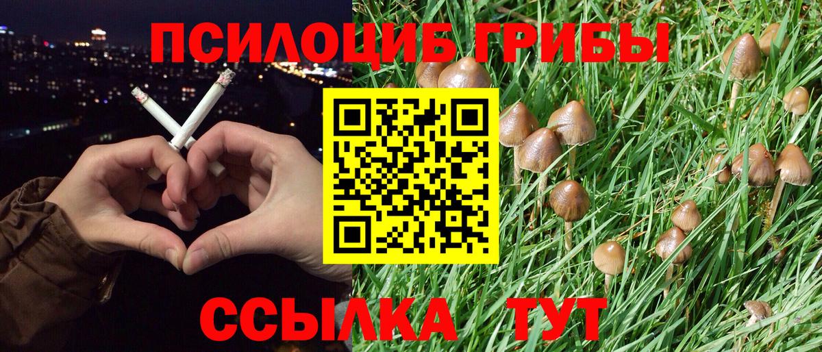 Калуга  Псилоцибиновые грибы Psilocybe  даркнет сайт  Галлюциногенные грибы прущие грибы  Вход с VPN 